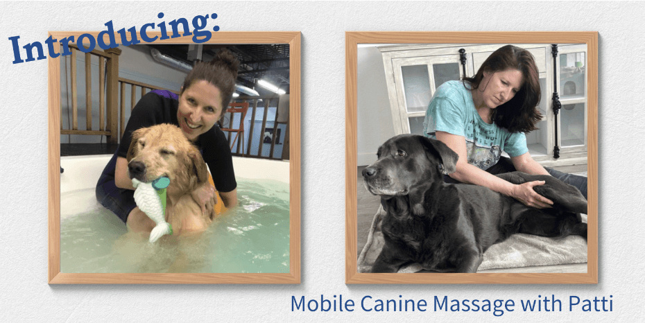 Mobile Canine Massage - Patti Fluegel, VT, CCMT