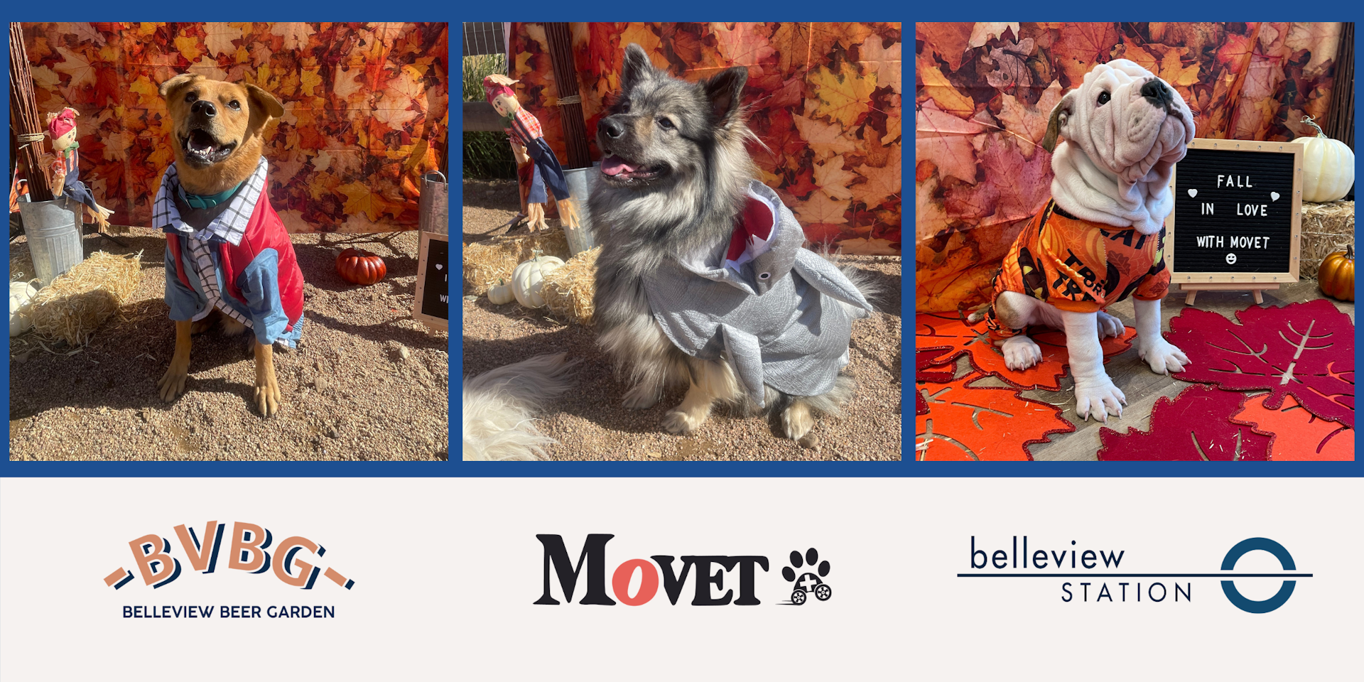 MoVET's 2nd Annual Howl-O-Ween